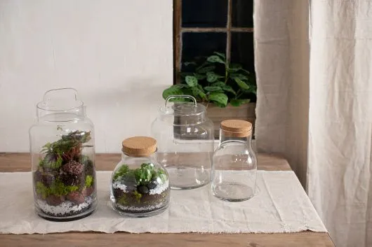 AMALIA JAR