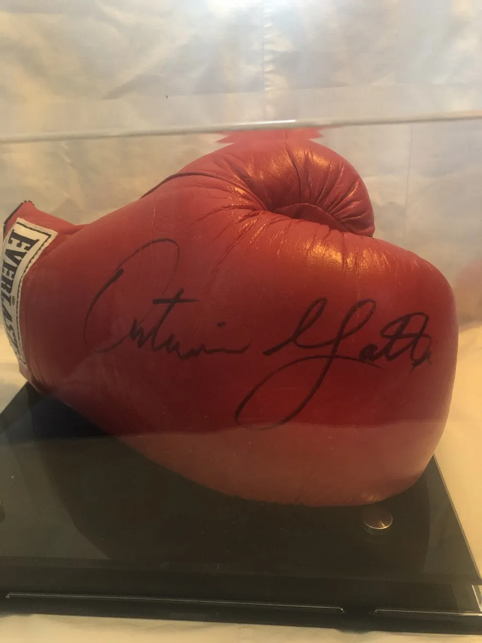 Arturo "Thunder" Gatti Autographed Hand Signed Boxing Glove