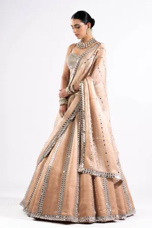 Beige Mirror Seam Lehenga Set