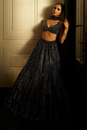 Black Crystal Linear Embroidered Lehenga Set