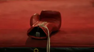 Boxing Glove Reveal