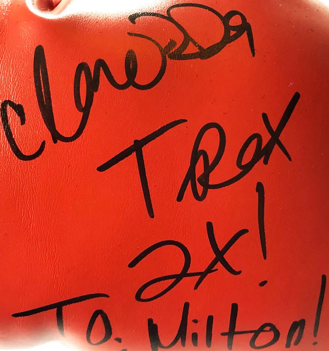 Claressa "T-Rex" Shields autographed everlast boxing glove signed in Black Marker