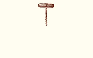 Cork Screw Place Card