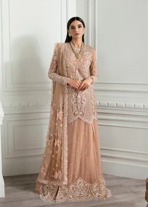 CRIMSON X SS | WEDDING COLLECTION '24 | Stardust