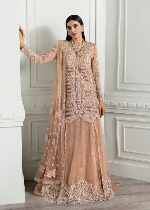 CRIMSON X SS | WEDDING COLLECTION '24 | Stardust