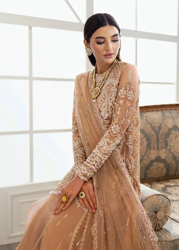 CRIMSON X SS | WEDDING COLLECTION '24 | Stardust