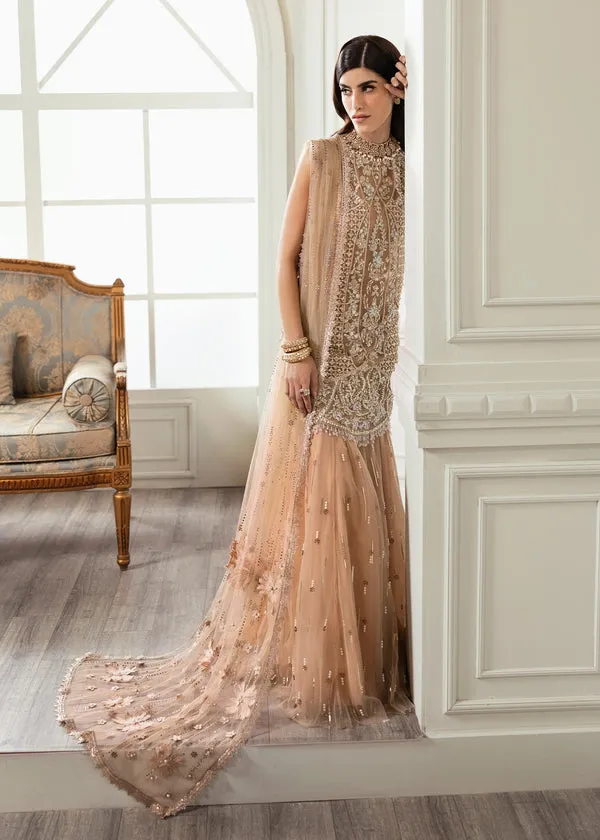 CRIMSON X SS | WEDDING COLLECTION '24 | Stardust