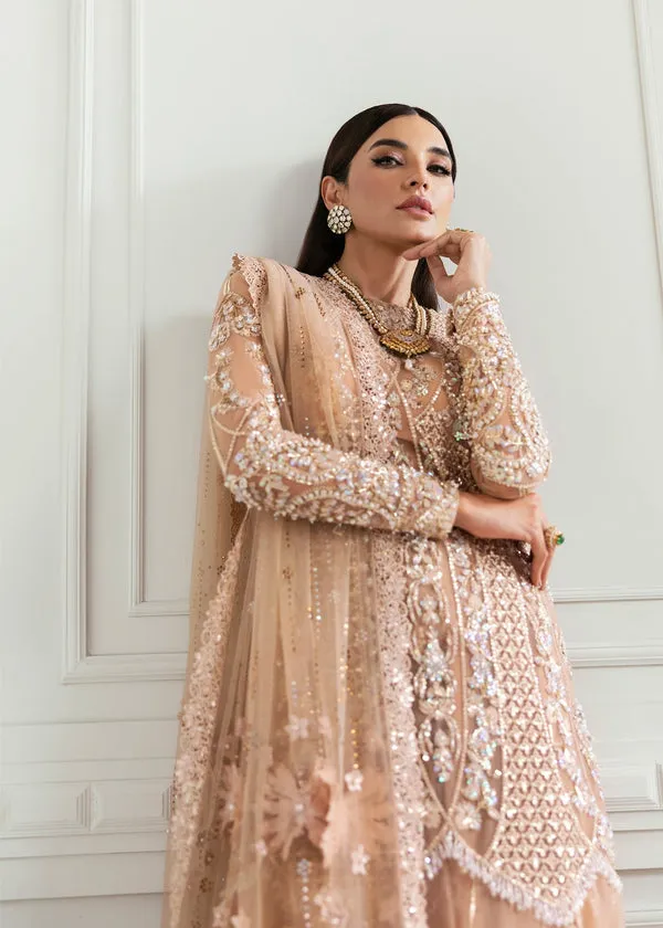 CRIMSON X SS | WEDDING COLLECTION '24 | Stardust