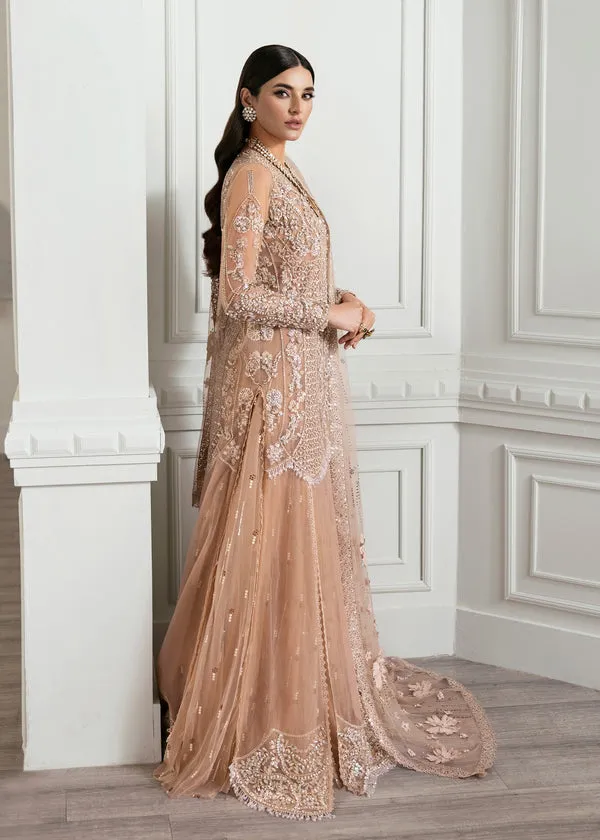 CRIMSON X SS | WEDDING COLLECTION '24 | Stardust