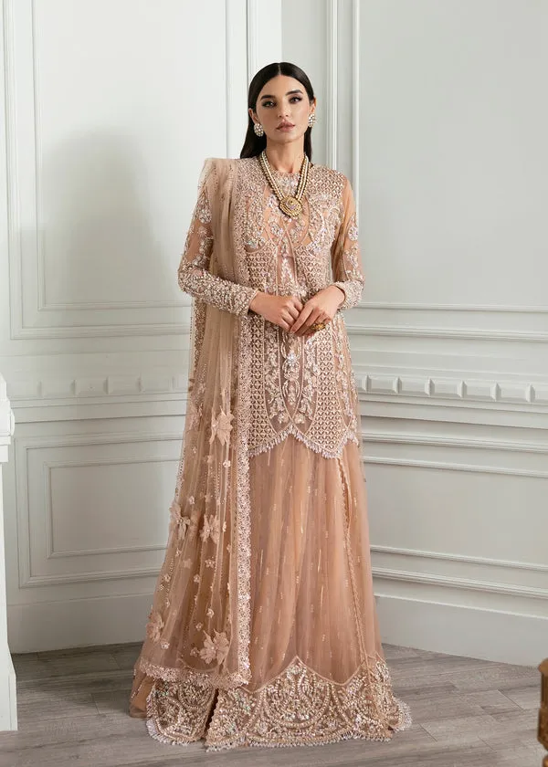 CRIMSON X SS | WEDDING COLLECTION '24 | Stardust
