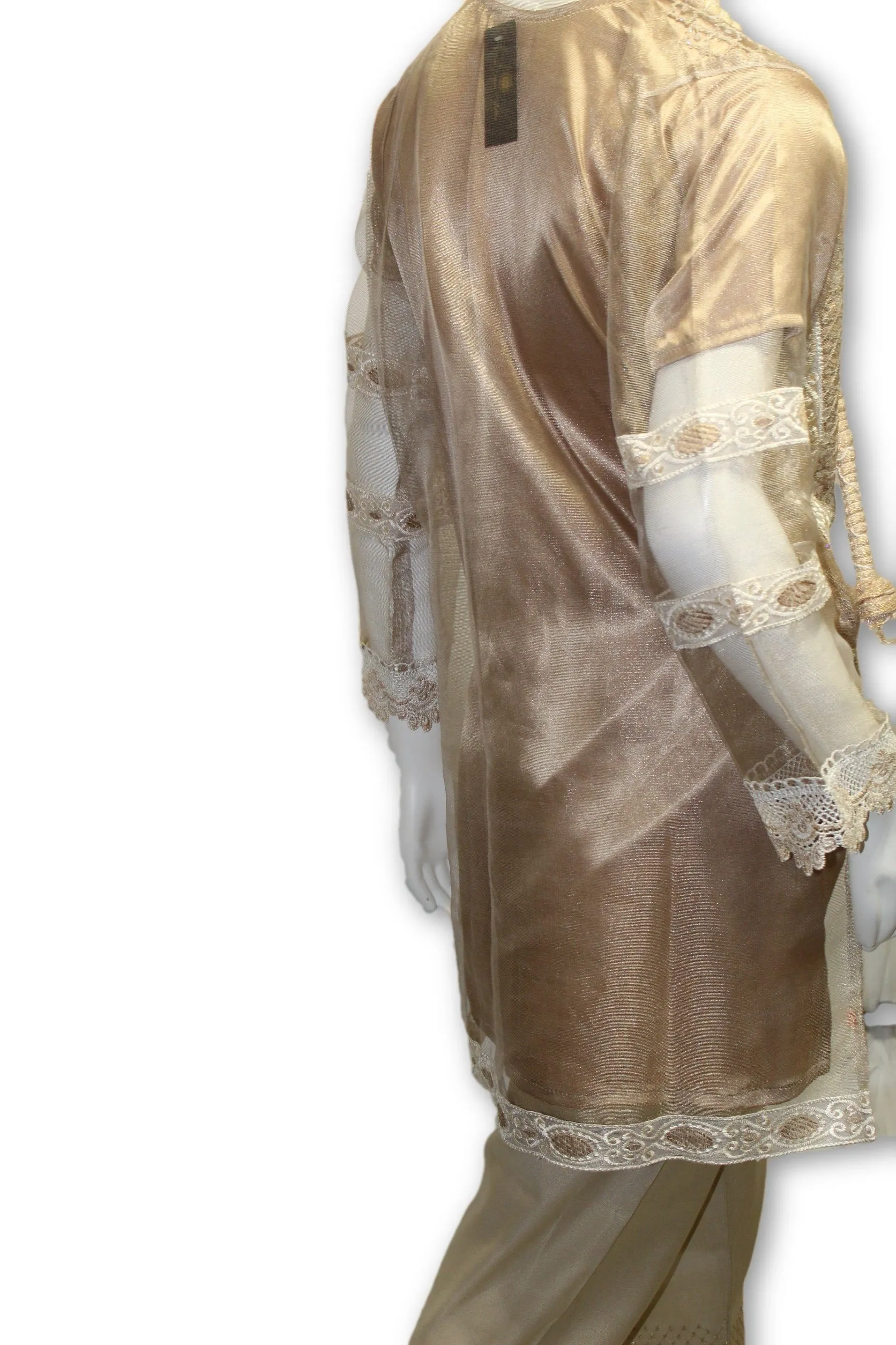 D13 Pakistani Indian Women Embroidered Organza Formal Dress