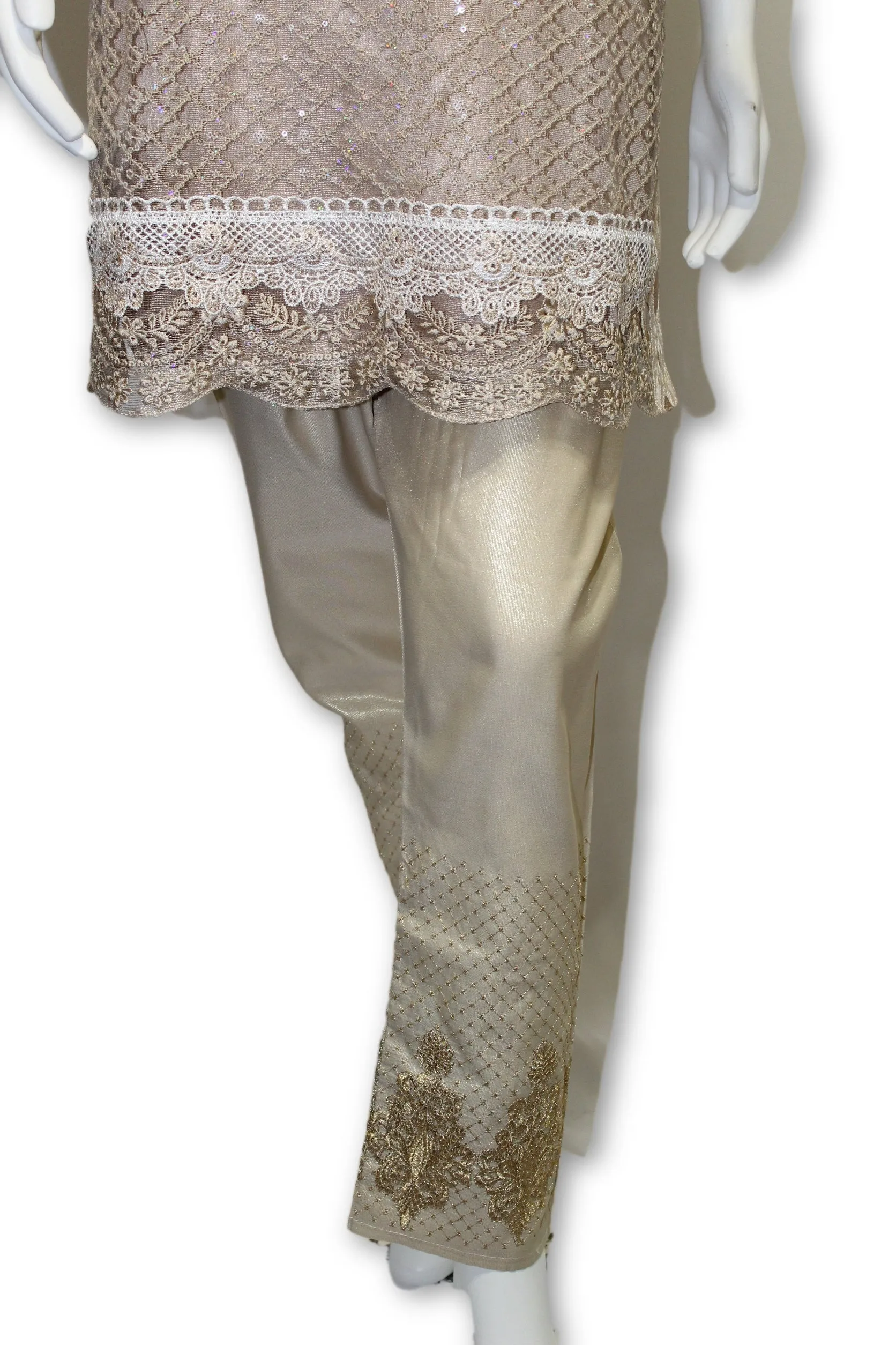 D13 Pakistani Indian Women Embroidered Organza Formal Dress