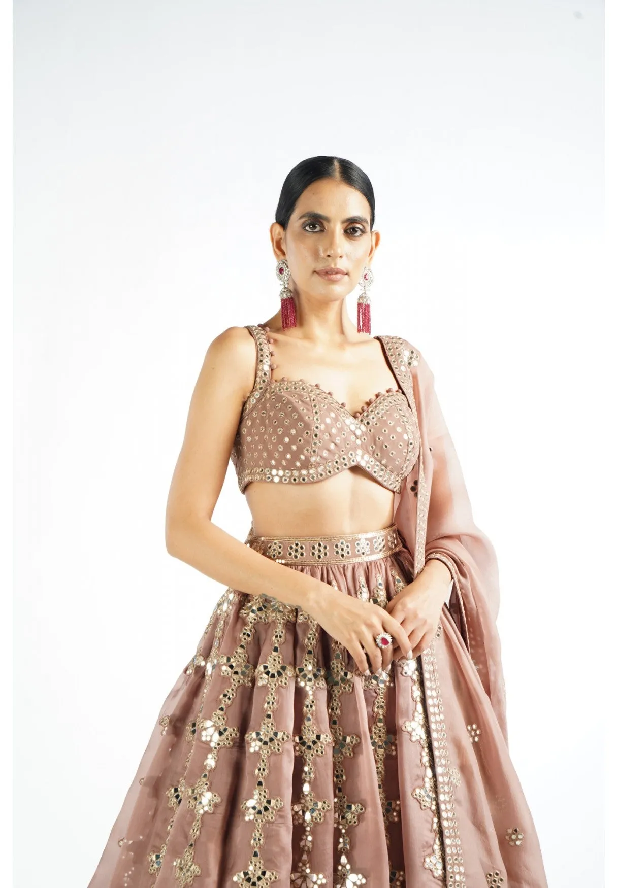Deep Beige Chandelier Drop Lehenga Set