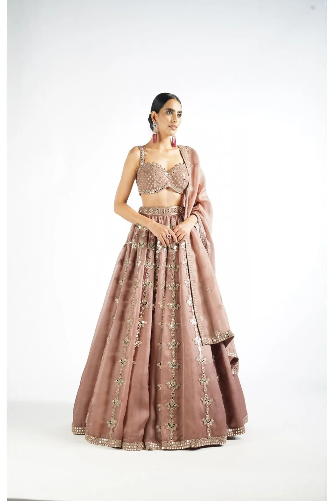 Deep Beige Chandelier Drop Lehenga Set