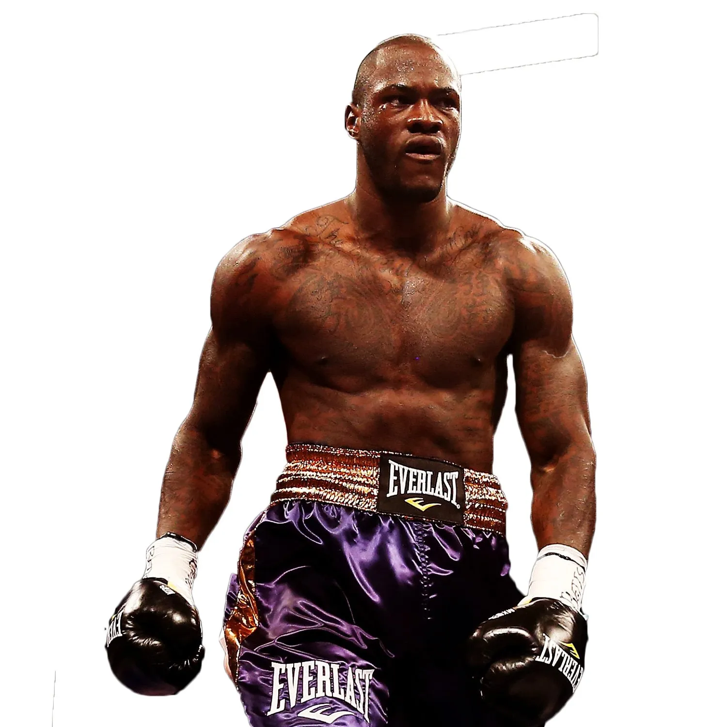 Deontay Wilder Red everlast Huge signed Autographed boxing glove in Black marker JSA