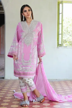 Embroidered Pakistani kurta for ladies with trouser # P2700