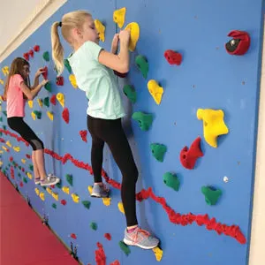 Everlast Climbing 8' H Chroma® Climbing Wall