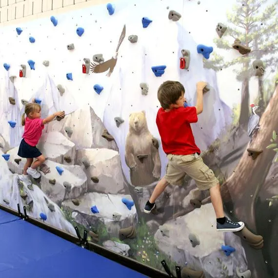 Everlast Climbing Mural Climbing Wall