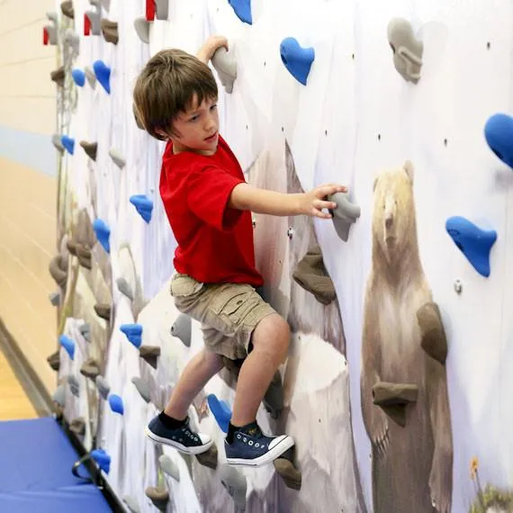 Everlast Climbing Mural Climbing Wall