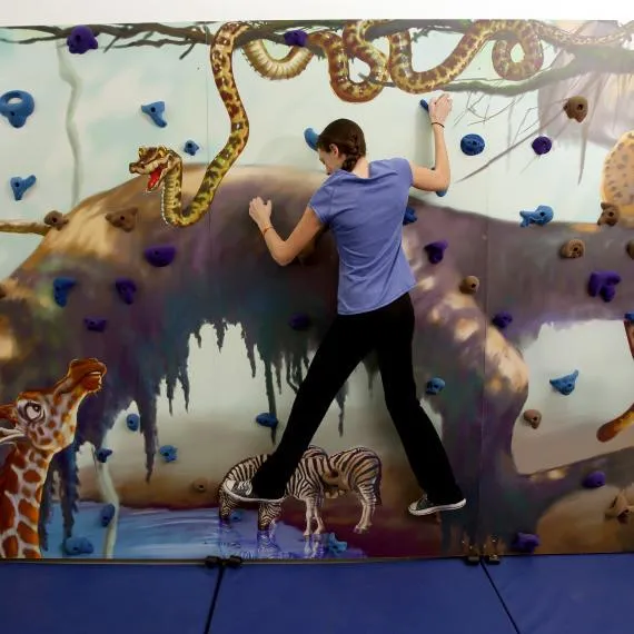 Everlast Climbing Mural Climbing Wall