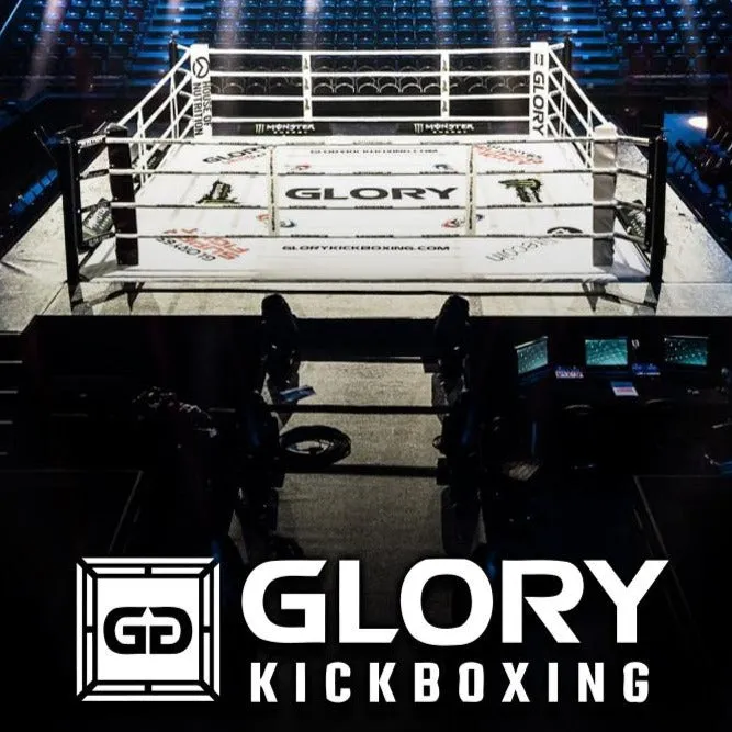 FAIRTEX X GLORY LIMITED EDITION BOXING GLOVES - BGVG2 - Multiple Colors