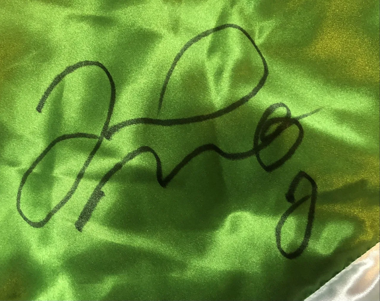 Floyd Mayweather Jr. TMT Autographed Hand signed Boxing Trunks Certified.
