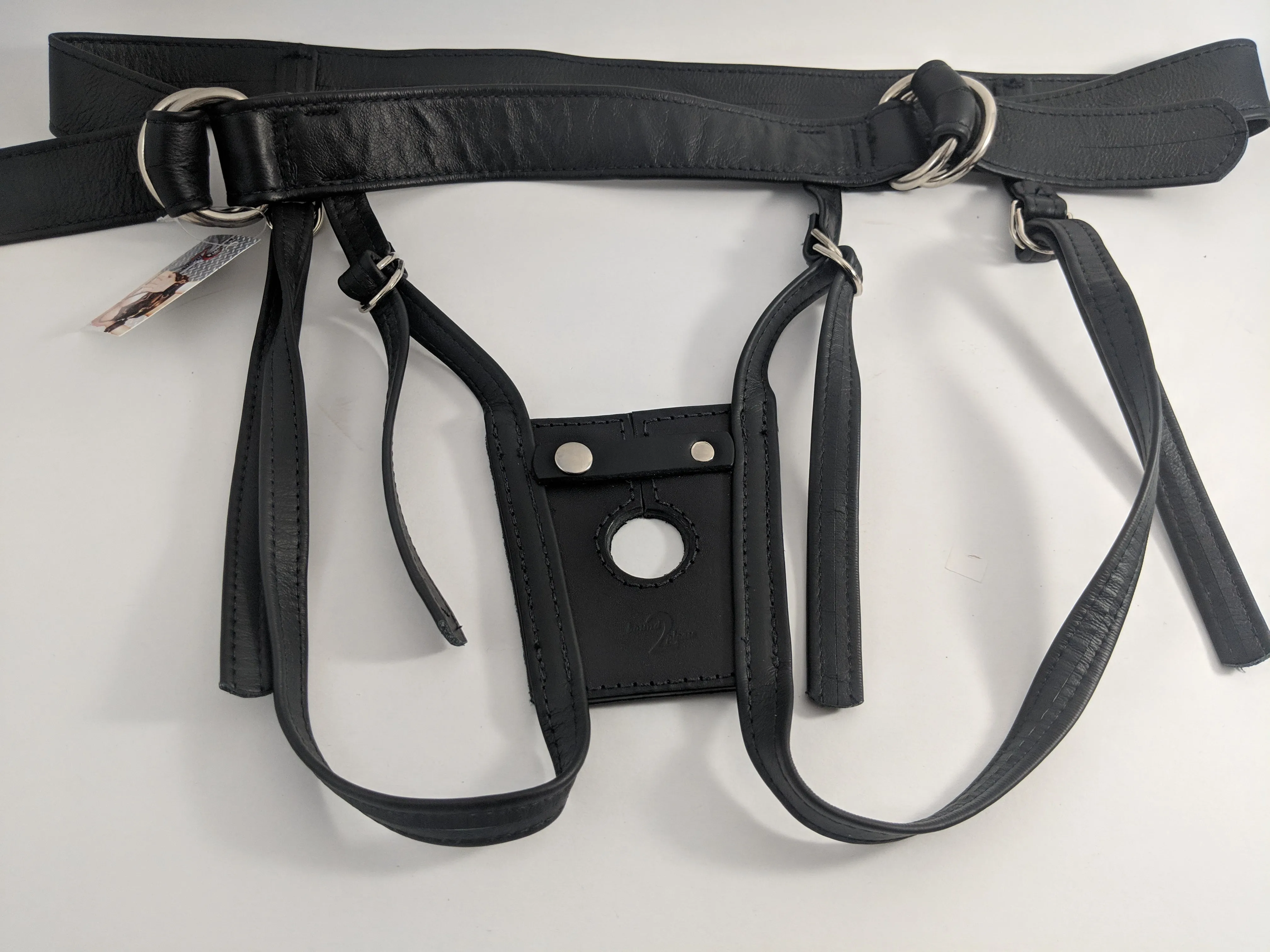 Forced Orgasm Harness ~ Bound 2 Please