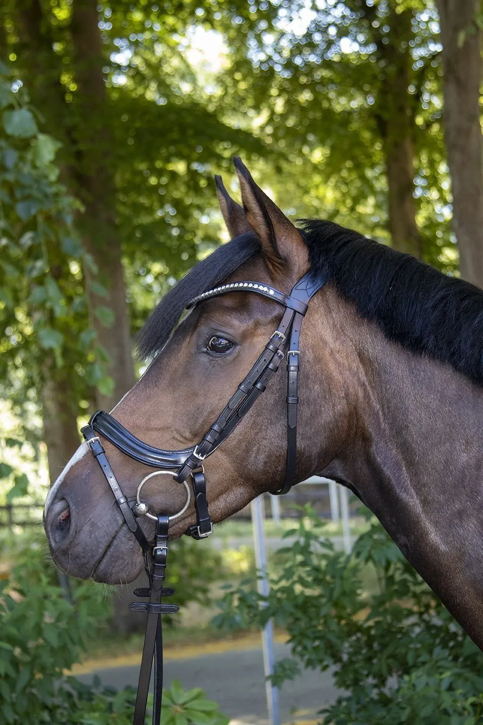 HKM Bridle Anatomic Crystal