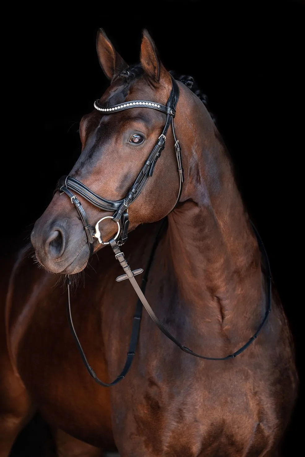 HKM Bridle Anatomic Crystal
