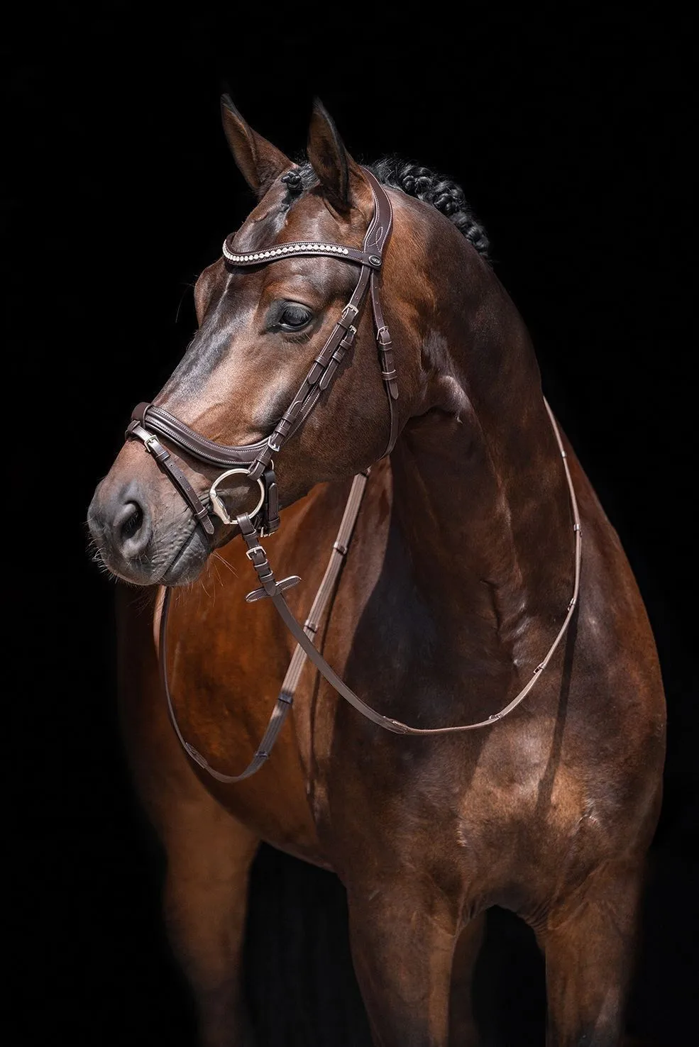 HKM Bridle Anatomic Crystal
