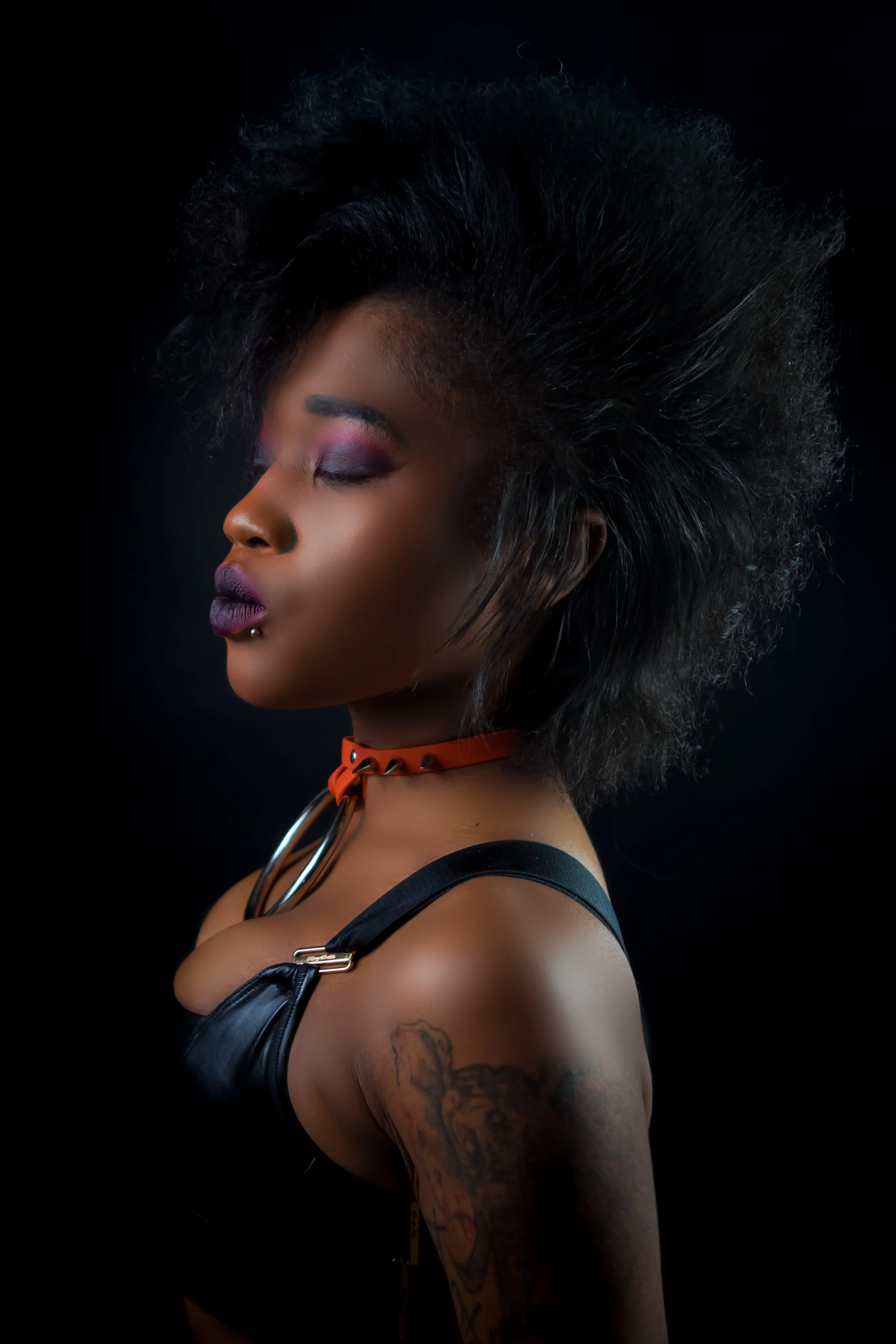 Jett vegan biothane or leather collar