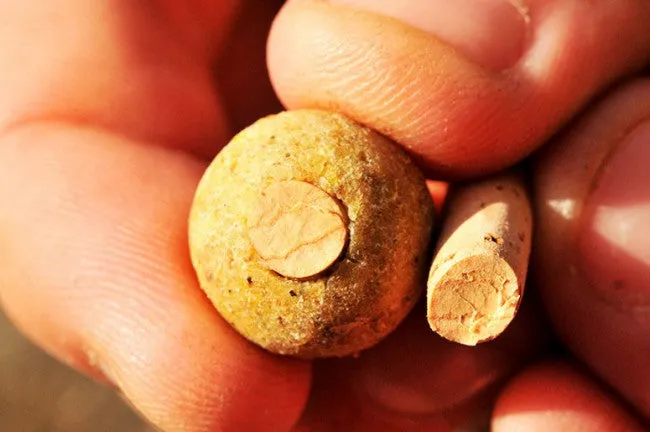 Korda Bait Drill & Cork Sticks