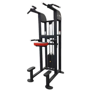 Legend Fitness Selectedge Chin Dip Assist Combo - 1122