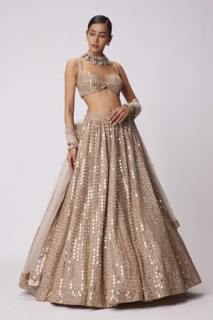 Light Beige Hand Embroidered Lehenga Set