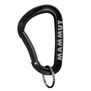 Mammut Mini Carabiner Workhorse Keylock L