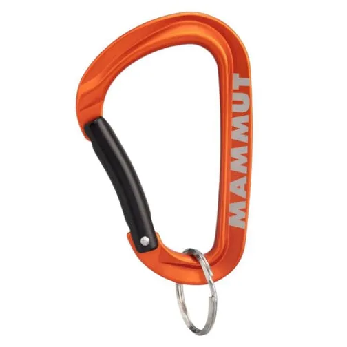 Mammut Mini Carabiner Workhorse Keylock L
