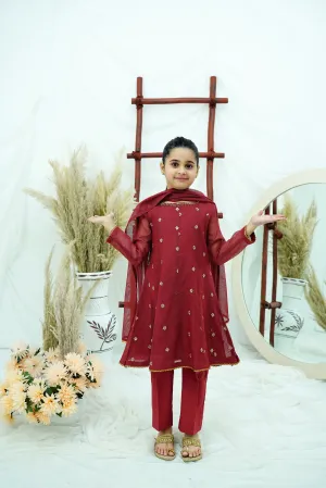 Maroon Embroidered Khadi net