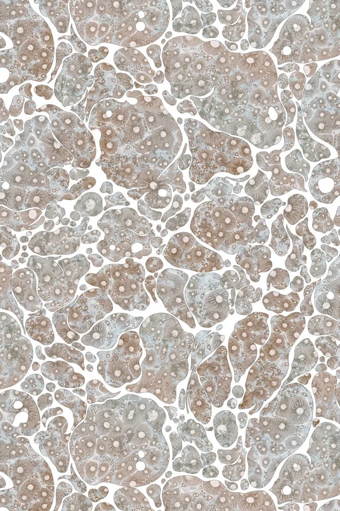 moonrock cork wallpaper