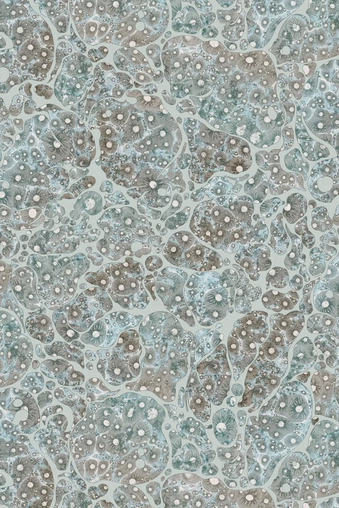 moonrock cork wallpaper