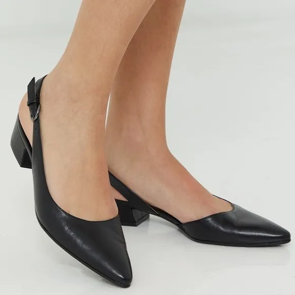 NATURALIZER BANKS POINTED TOE FLAT (Narrow)