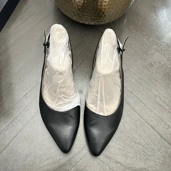 NATURALIZER BANKS POINTED TOE FLAT (Narrow)
