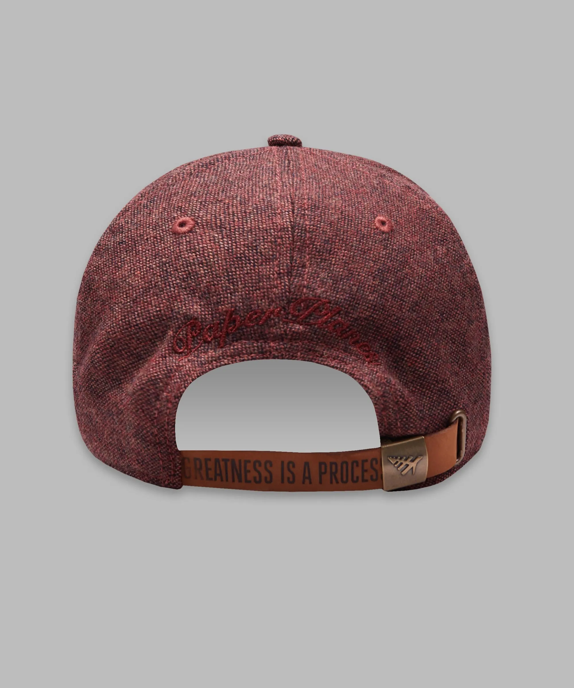 Paper Planes Icon II  Cabernet Dad Cap