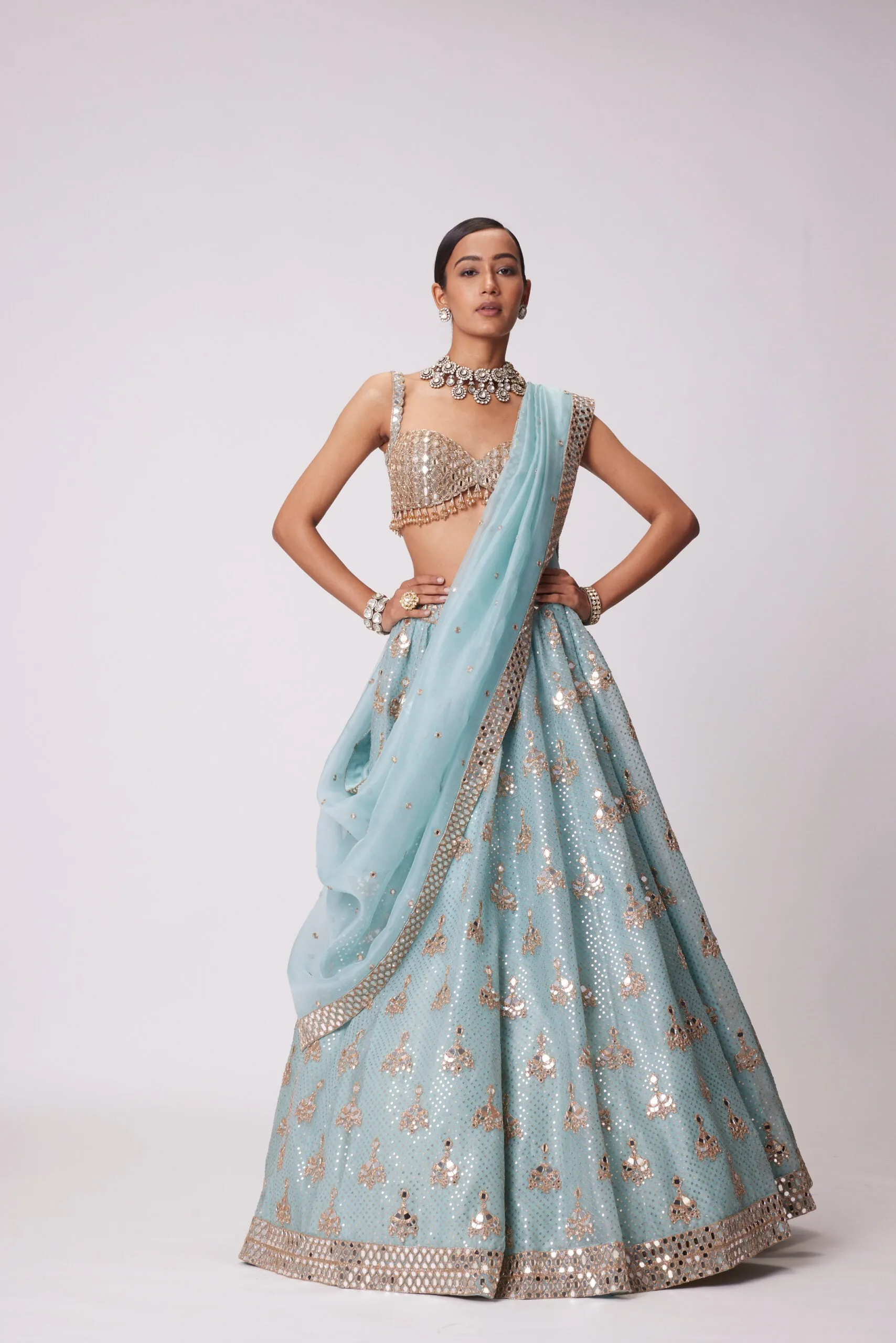 Powder Blue Organza Sequin Embroidered Lehenga Set