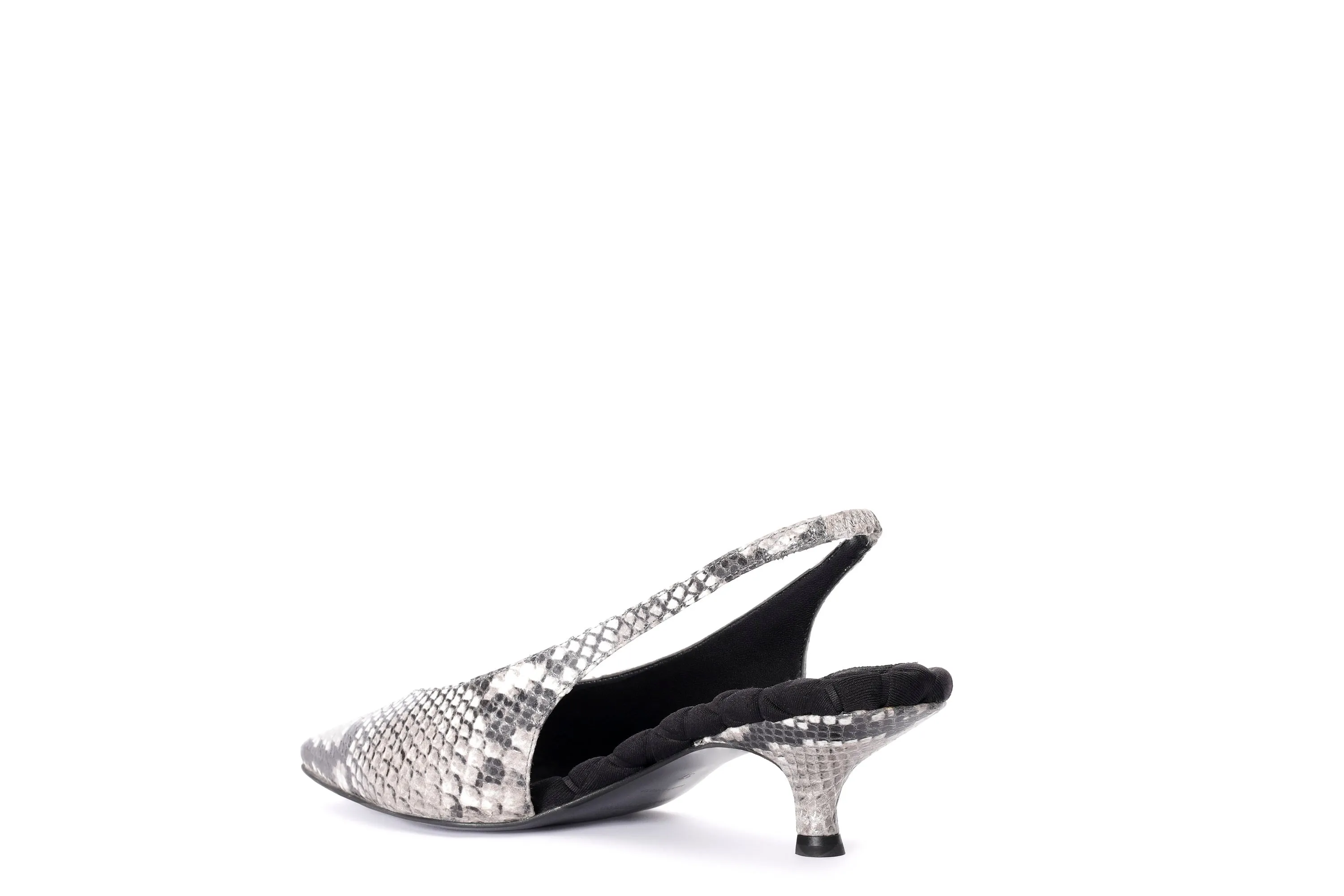 SILVANA Python