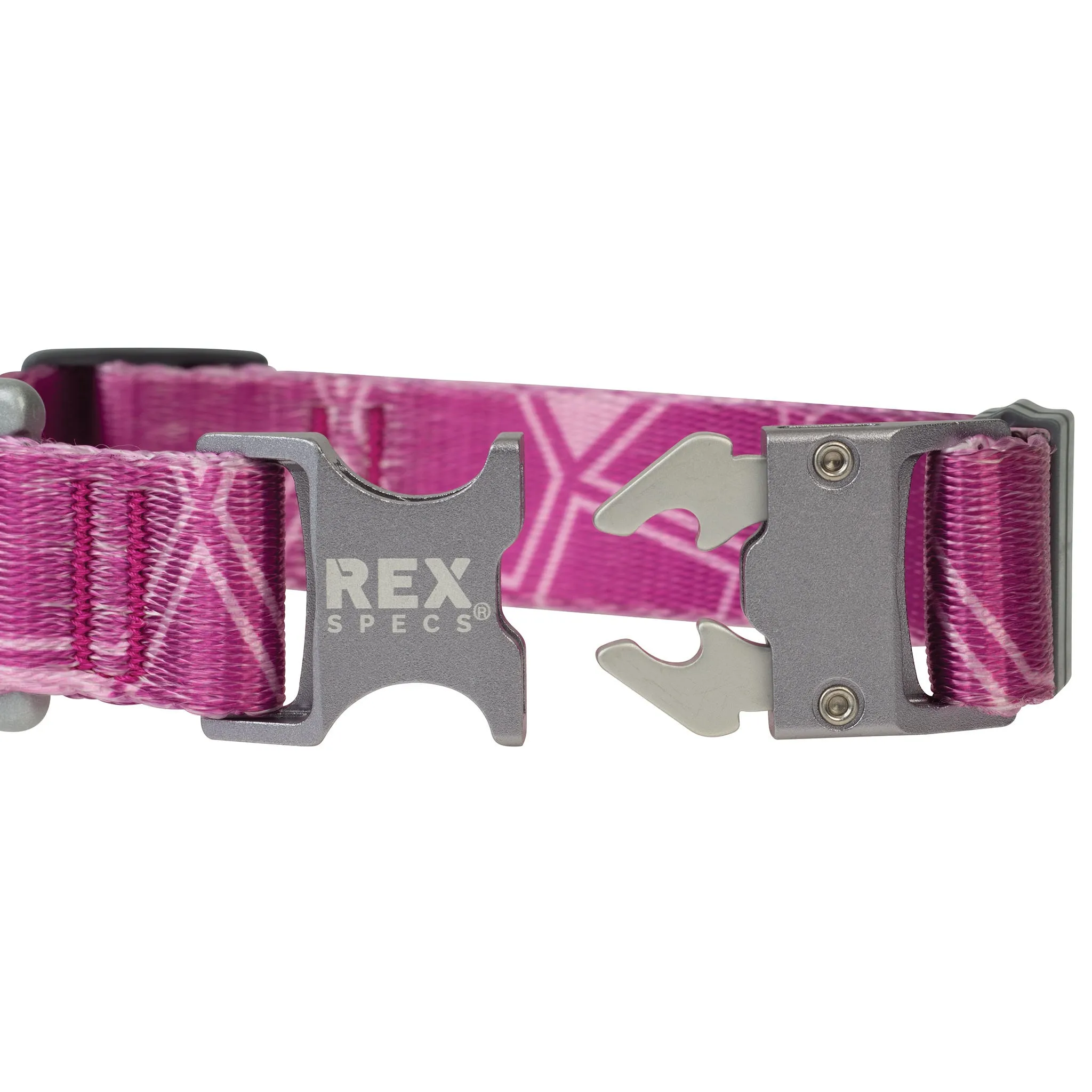 Trails End Collar